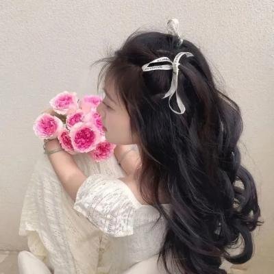 鳄鱼群